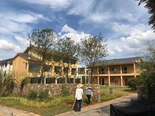 南雄寄心小院,含双人农家田园早餐 一家隐藏在稻田的民宿 寄心小院