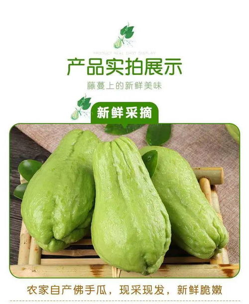 贵州新鲜佛手瓜高原农家自种蔬菜洋瓜捧瓜丰收窝瓜寿瓜3斤5斤包邮