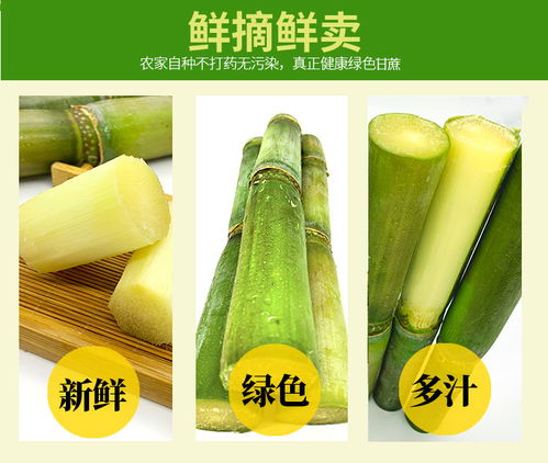 甘蔗新鲜水果孕妇现摘农家应季时令特产青.皮绿皮非黑皮广西甘蔗