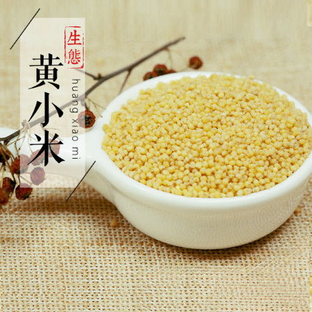 天然 有机食品 乡田美实 生态黄小米 五谷杂粮 美丽农家自留老品种 古法生态种植500g