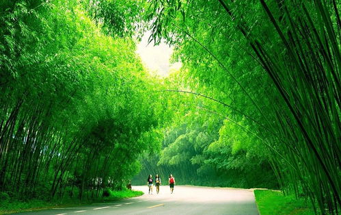 重渡沟全景vr民宿上线,一起漫游山泉飞瀑竹林人家