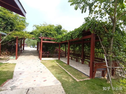 陂洋半月湾生态庄园秋色浓