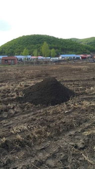 穆棱馆 农家自产大米稻荷香大米试吃装2斤农村合作社出品全国包邮