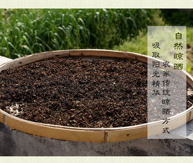 农家自产 浏阳特产 梅菜干200g 袋
