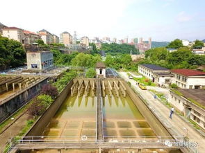 历经35年,洋湖水厂 旧址 退休