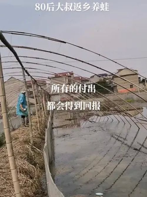 后面意外看到了蝌蚪,抱抱 青蛙 青蛙 稻蛙香家庭农场 养蛙人加油 江西早蛙联盟 高密度养殖 水产养殖 水产养殖