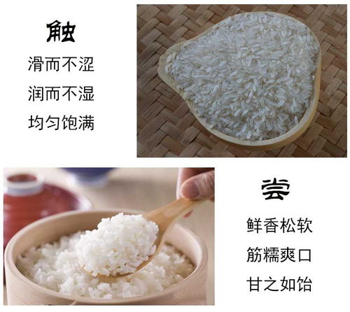 再生稻大米农家生态大米长粒香米当季现磨新米5kg
