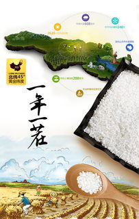 五常大米海报