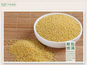 农纤食品 精选小米黄小米450g 真空包装月子米五农家健康五谷杂粮