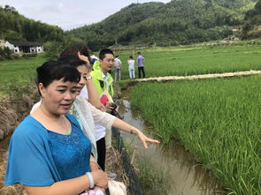 市政协关注稻渔综合种养 回应 纳入现代特色农业扶持政策