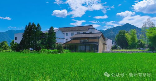 来打卡 稻田边上的农家书屋你见过吗