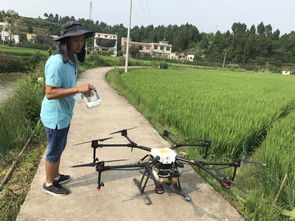 四川省农业科学院 茶叶研究所 植保所科技人员赴三台县进行水稻飞防试验