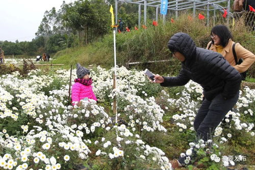 走进绿水青山,体验农家乐趣 我区举办首届 稻草文化旅游节