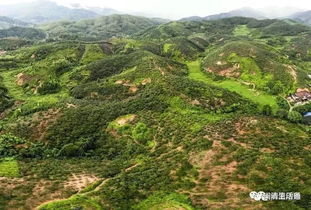 赞 闽清首届农民丰收节,百张高清航拍带您飞越家乡
