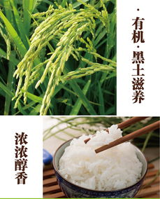 十月稻花香新米黑龙江五常农家自产东北特产大米5000g包邮