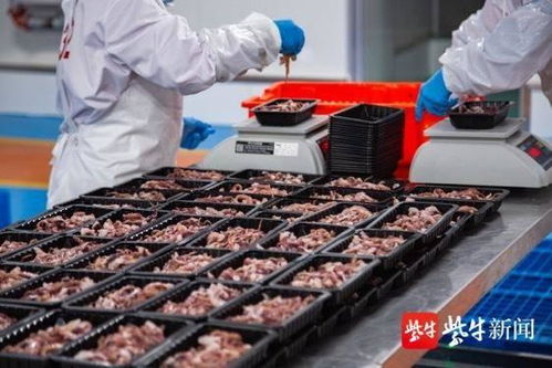 中洋鱼天下海安第三工厂投产运营 每日产能超百吨