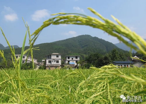 扶贫一日谈