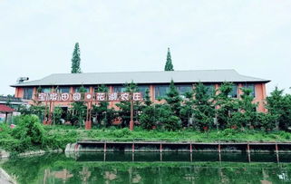 麦田怪圈 惊现成都