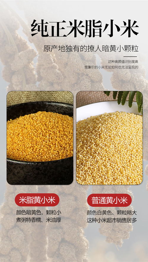 陕北米脂黄小米粥小黄米2020新米月子米农家非山西特产500g 3袋