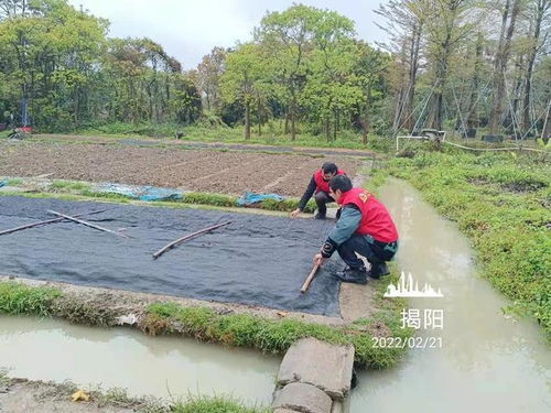 走进田间地头 给农作物 添衣 盖被子 ,农民有了好帮手