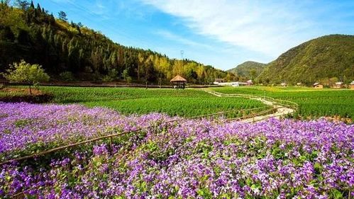 9月8日至9月10日,宜昌这些景区免门票