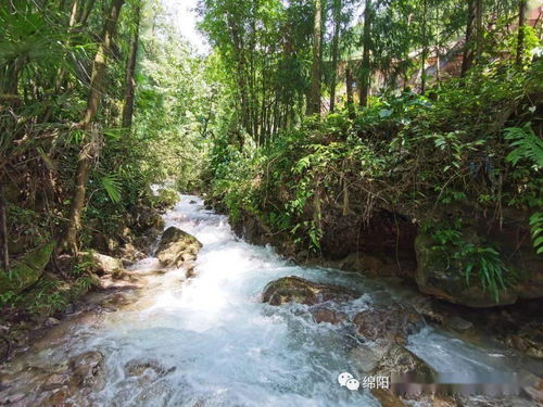 在洋马路邂逅农家小院,趁冬日暖阳,赴一场山野的 风味人间
