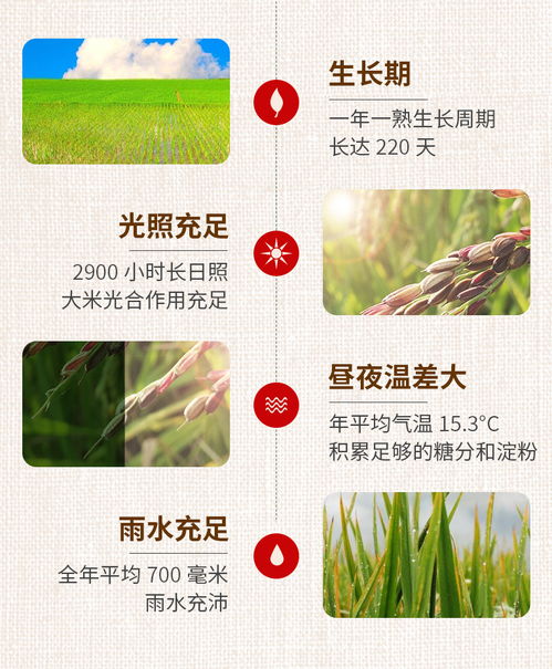 虾田稻长粒香米农家现磨大米5kg
