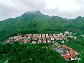 千呼万唤始出来 龙岩新罗首届清汤粉大赛即将盛大登场于稻洋农家