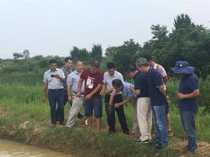 广西水产技术推广总站邀请权威专家会诊稻田养殖罗氏沼虾,助力稻田综合种养产业发展