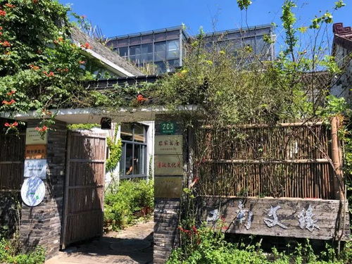 上海书展青浦分会场 稻洋农家精彩活动一览