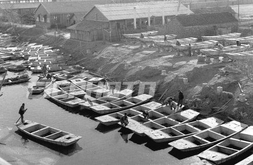 稻洋农家 扬州市五六十年代老照片回顾