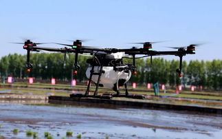 中国宝清农耕文化暨富硒农产品产销对接会圆满落幕,稻洋农家助力乡村振兴