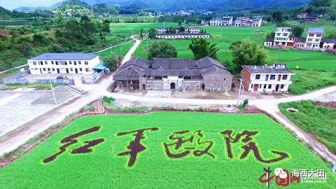 稻田艺术绘就福建乡村振兴新画卷