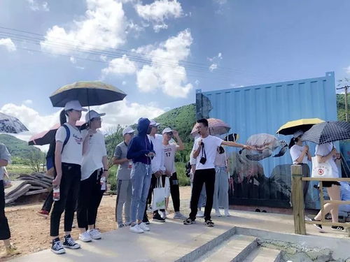 团团带你乡村行丨魅力古村景色美 醉美乡村焕生机 稻洋农家