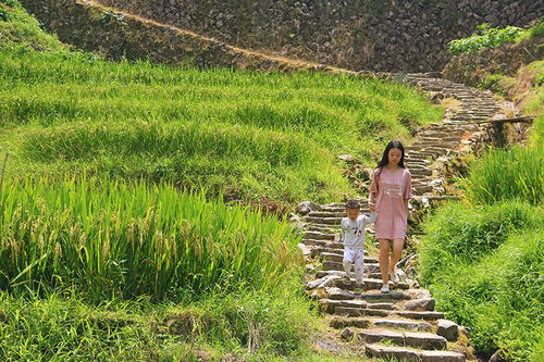 尤溪梅仙的世外桃源 稻洋农家与猿猴奇遇