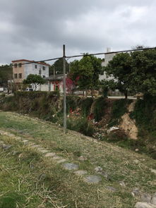 农家风情与奥迪论坛的交汇——探索太平洋汽车网稻洋农家