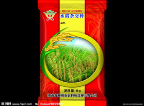 稻洋农家 用心打造优质水稻包装